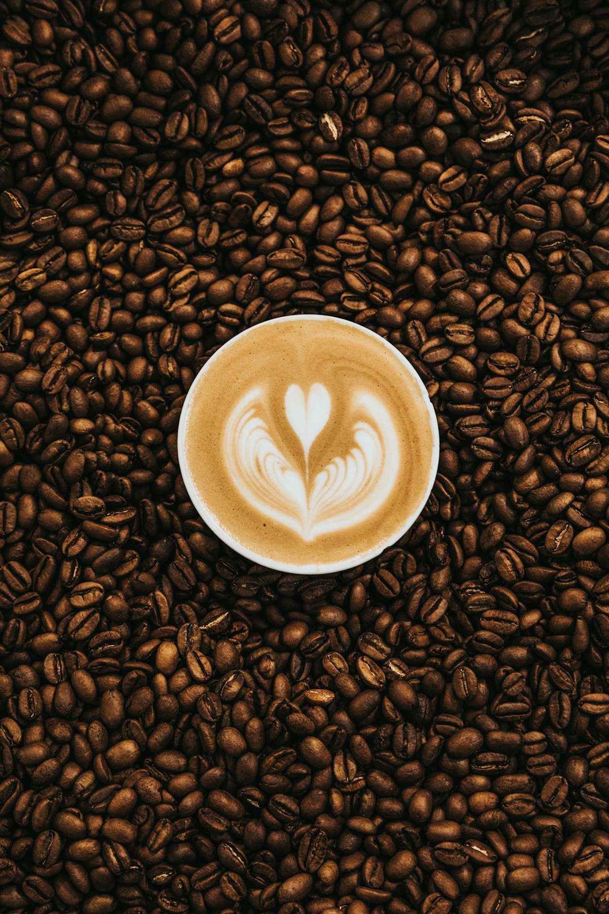 Marula Hub Coffee Shop - 2