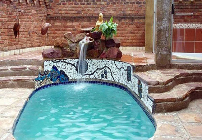 Gorgeous Gecko and Nylstroom Guesthouse