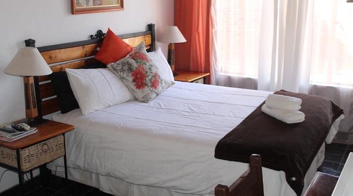 Gorgeous Gecko and Nylstroom Guesthouse - 2