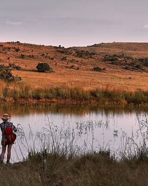 Hiking trails @ Bateleur Nature Reserve - 3