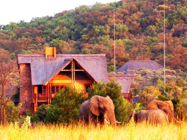 Kololo Game Reserve - 3