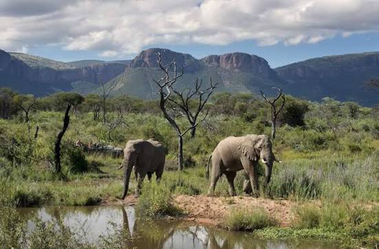 Marakele National Park - 3