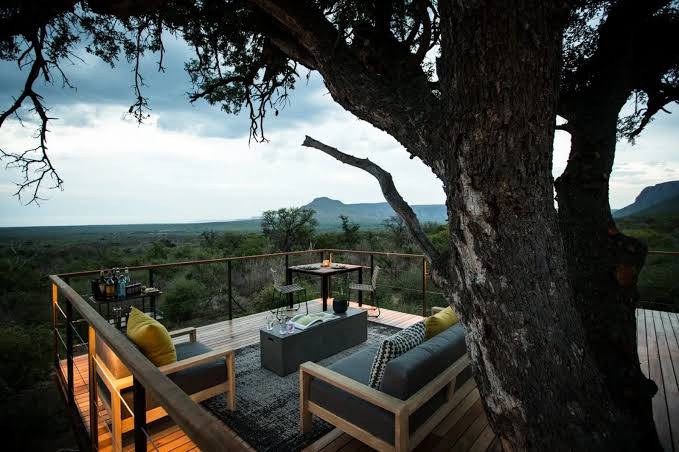Thabametsi Treehouse - 3
