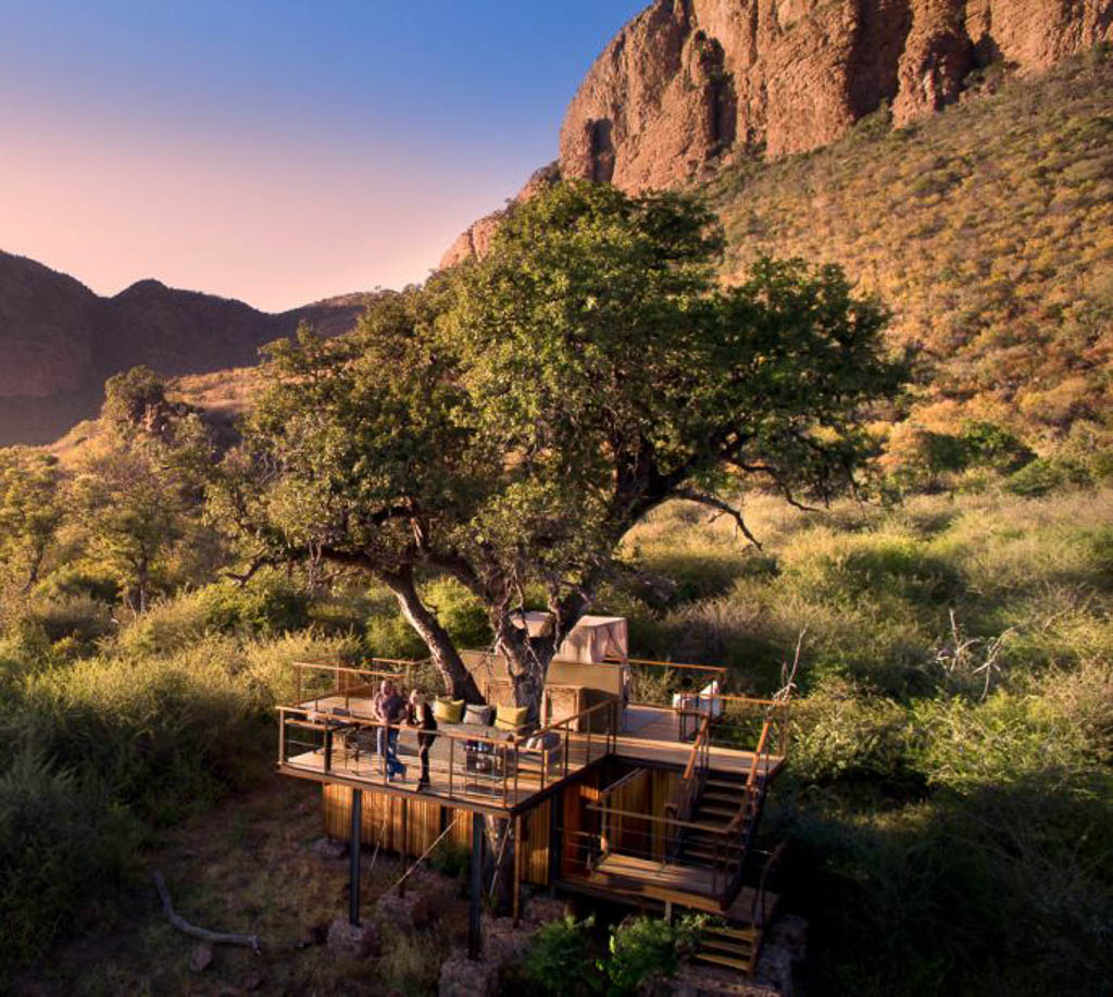 Thabametsi Treehouse - 4