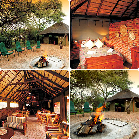Moseleslele Tent Camp @ Sondela - 4