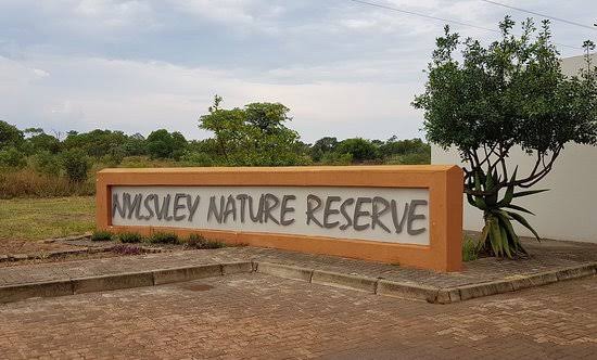 Nylsvley Nature Reserve