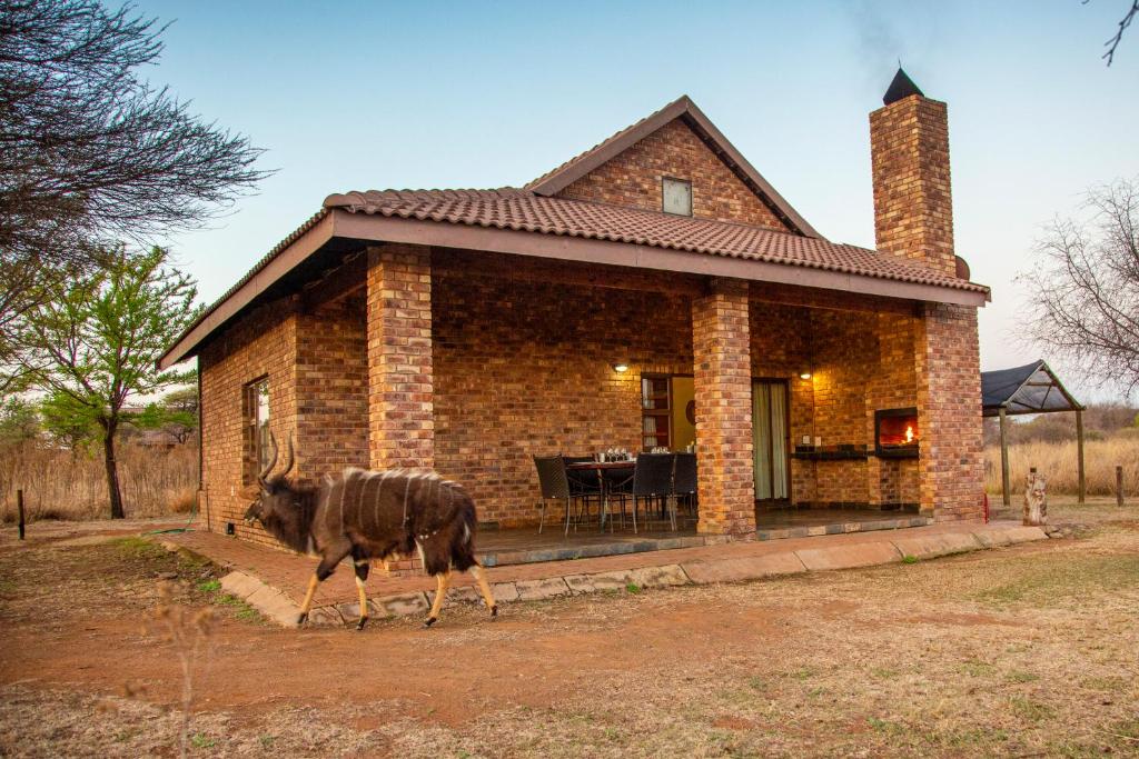 Sondela Nature Reserve & Spa