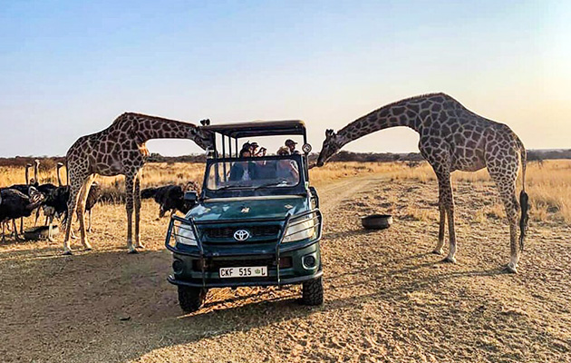 Sondela Nature Reserve & Spa