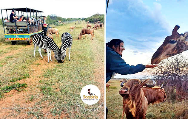 Sondela Nature Reserve & Spa
