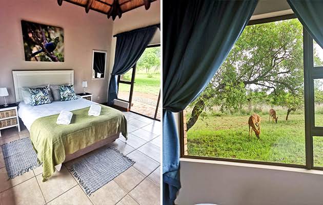 Sondela Nature Reserve & Spa