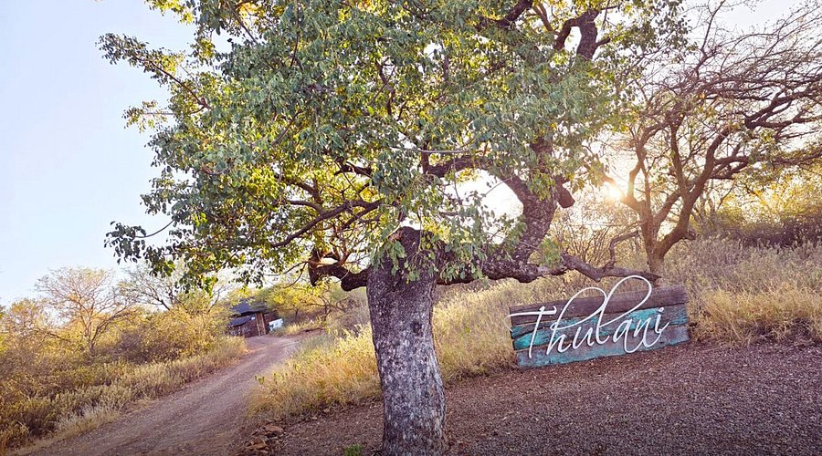 Thulani Game Lodge & Eco Estate