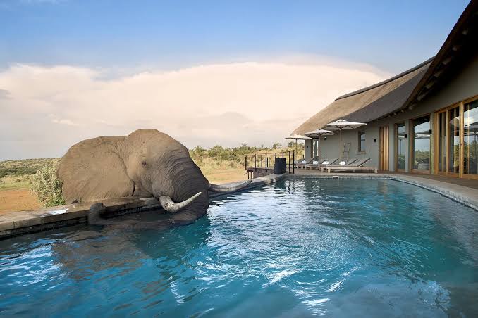 Welgevonden Game Reserve - 3